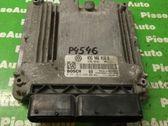 Engine control unit/module ECU
