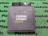Engine control unit/module ECU