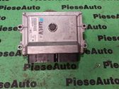 Engine control unit/module ECU