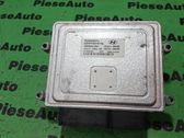 Engine control unit/module ECU