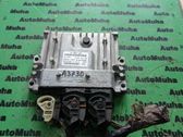 Engine control unit/module ECU