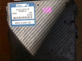 Engine control unit/module ECU