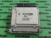 Engine control unit/module ECU