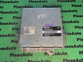 Engine control unit/module ECU