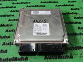 Engine control unit/module ECU