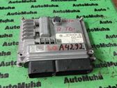 Engine control unit/module ECU