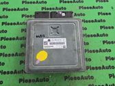 Engine control unit/module ECU