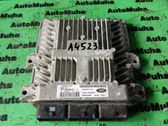 Engine control unit/module ECU