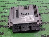 Engine control unit/module ECU