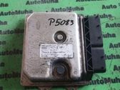 Engine control unit/module ECU