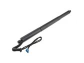 Tailgate/trunk strut/damper