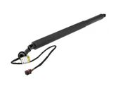 Tailgate/trunk strut/damper