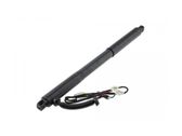 Tailgate/trunk strut/damper