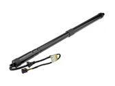 Tailgate/trunk strut/damper