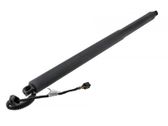 Tailgate/trunk strut/damper