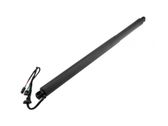 Tailgate/trunk strut/damper