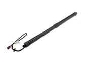 Tailgate/trunk strut/damper