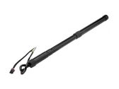 Tailgate/trunk strut/damper
