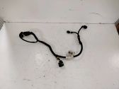 Other wiring loom