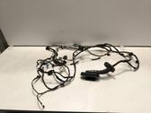 Front door wiring loom