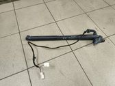 Tailgate/trunk strut/damper