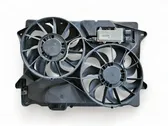 Electric radiator cooling fan