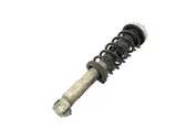 Rear shock absorber with coil spring