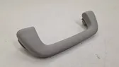 Front interior roof grab handle