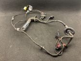 Front door wiring loom