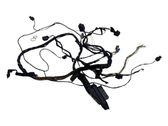 Front door wiring loom