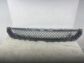 Front bumper lower grill