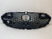 Front bumper upper radiator grill