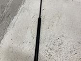 Tailgate/trunk strut/damper