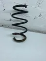 Front coil spring