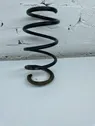 Front coil spring