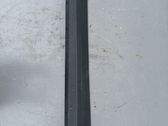 Front door trim (molding)