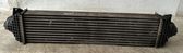 Intercooler radiator