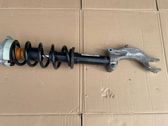 Amortiguador delantero con muelle espiral