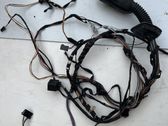 Front door wiring loom