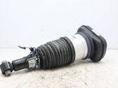 Rear shock absorber/damper