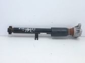Stoßdämpfer hinten