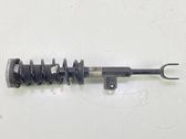 Rear shock absorber/damper