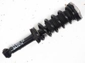 Rear shock absorber/damper