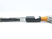 Rear shock absorber/damper