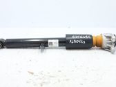 Stoßdämpfer hinten