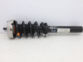 Front shock absorber with coil spring