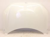 Engine bonnet/hood