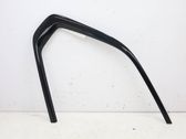Rear side glass trim