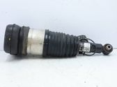 Rear shock absorber/damper