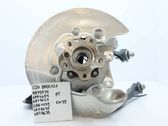 Rear wheel hub spindle/knuckle